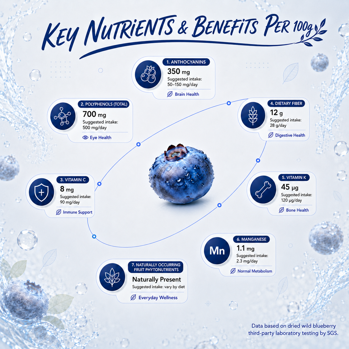 Premium Unsweetened Dried Wild Blueberries from Canada | Antioxidant Superfood Snacks-EDC