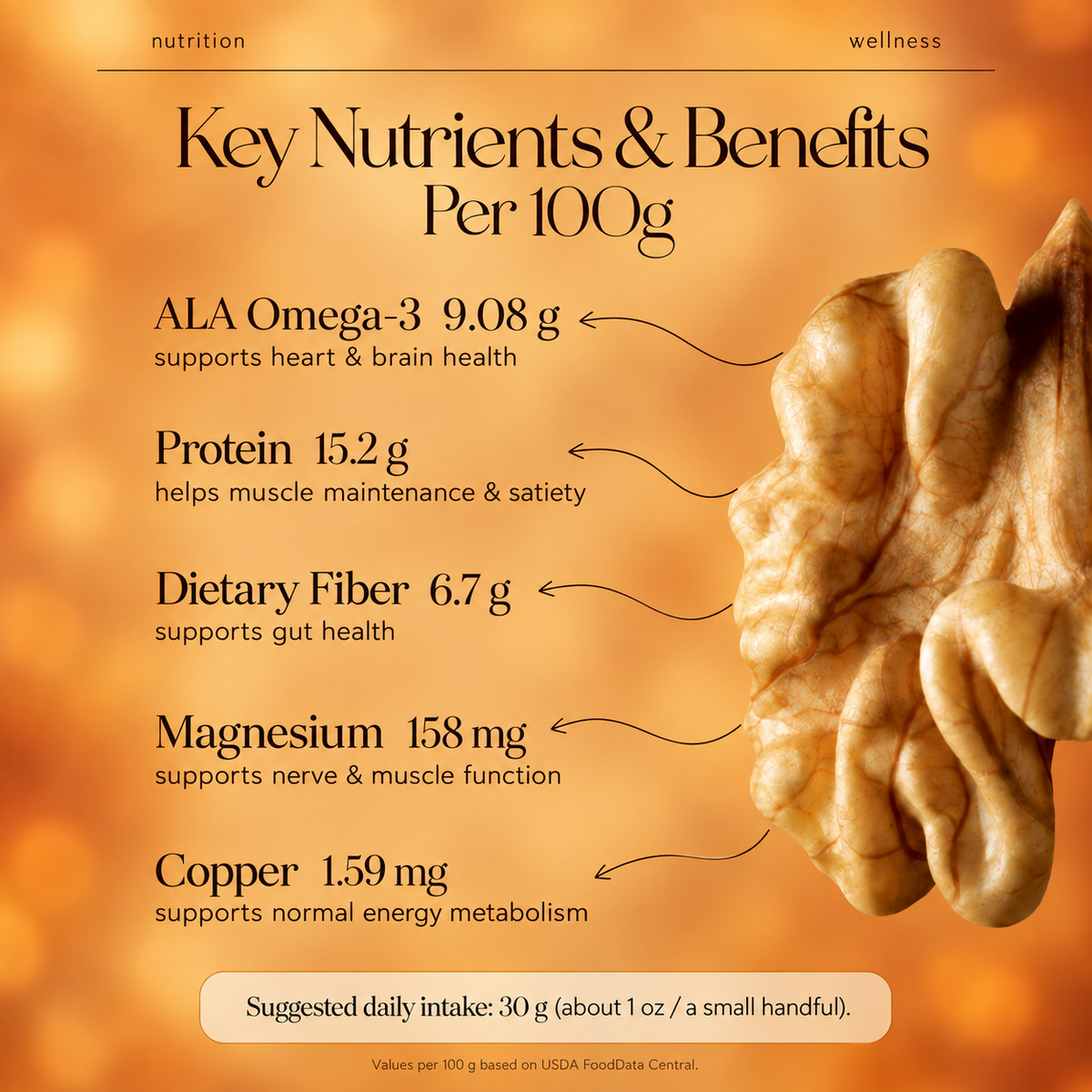 Premium Maple Roasted Walnuts – Crunchy & Freshly Roasted with Pure Maple Syrup | California Walnuts-WHM