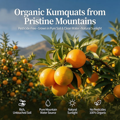 Golden Kumquat Vitality Dried Fruit – Natural Male Energy & Stamina Booster-EDC
