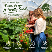 Naturally Sweet Freeze-Dried Strawberries – Crispy, Rich Berry Flavor & Delicious. Pure & Natural, No Additives.——GTR