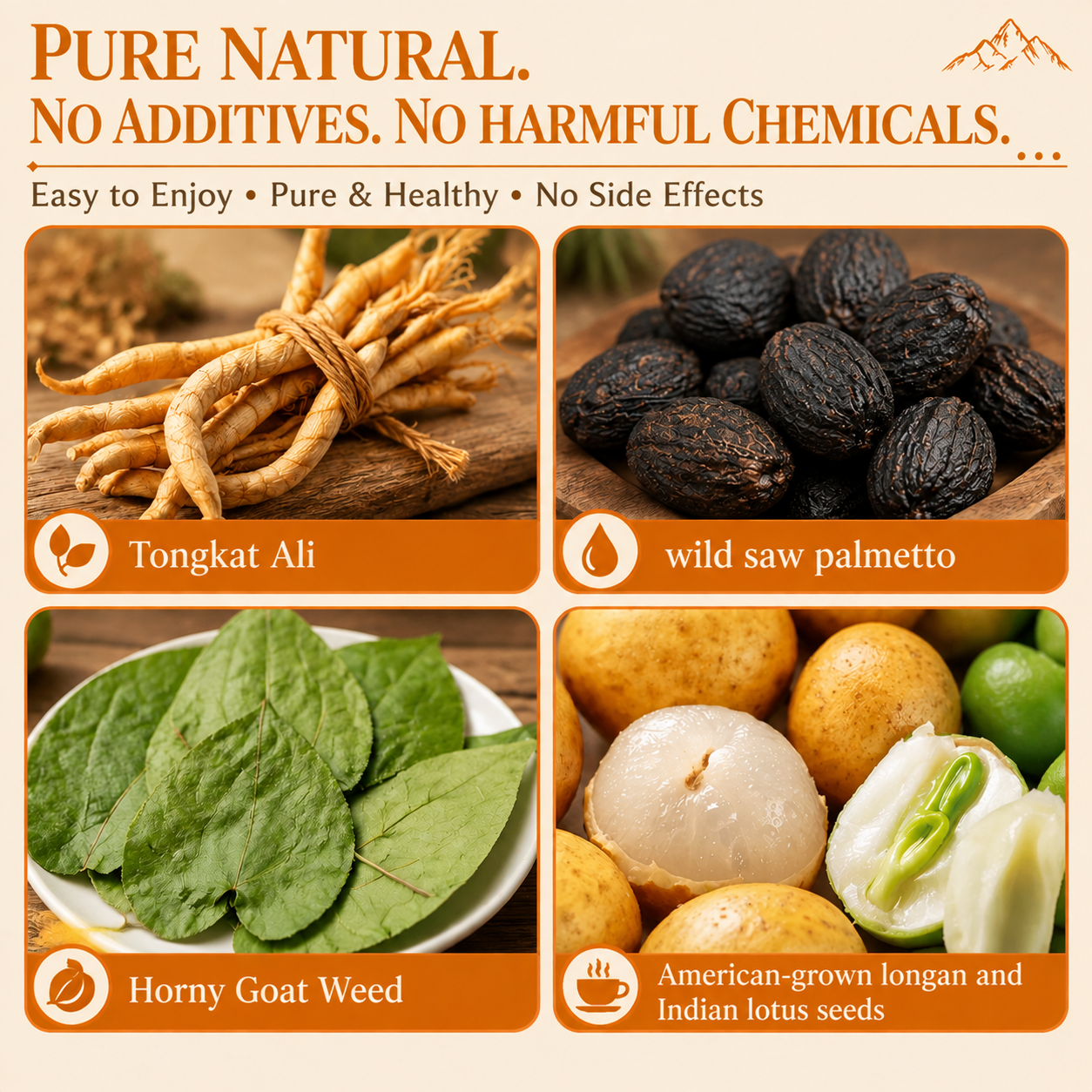 We were sick of being told to numb our bodies instead of feed them——Vitality Lotus Seed——EDC