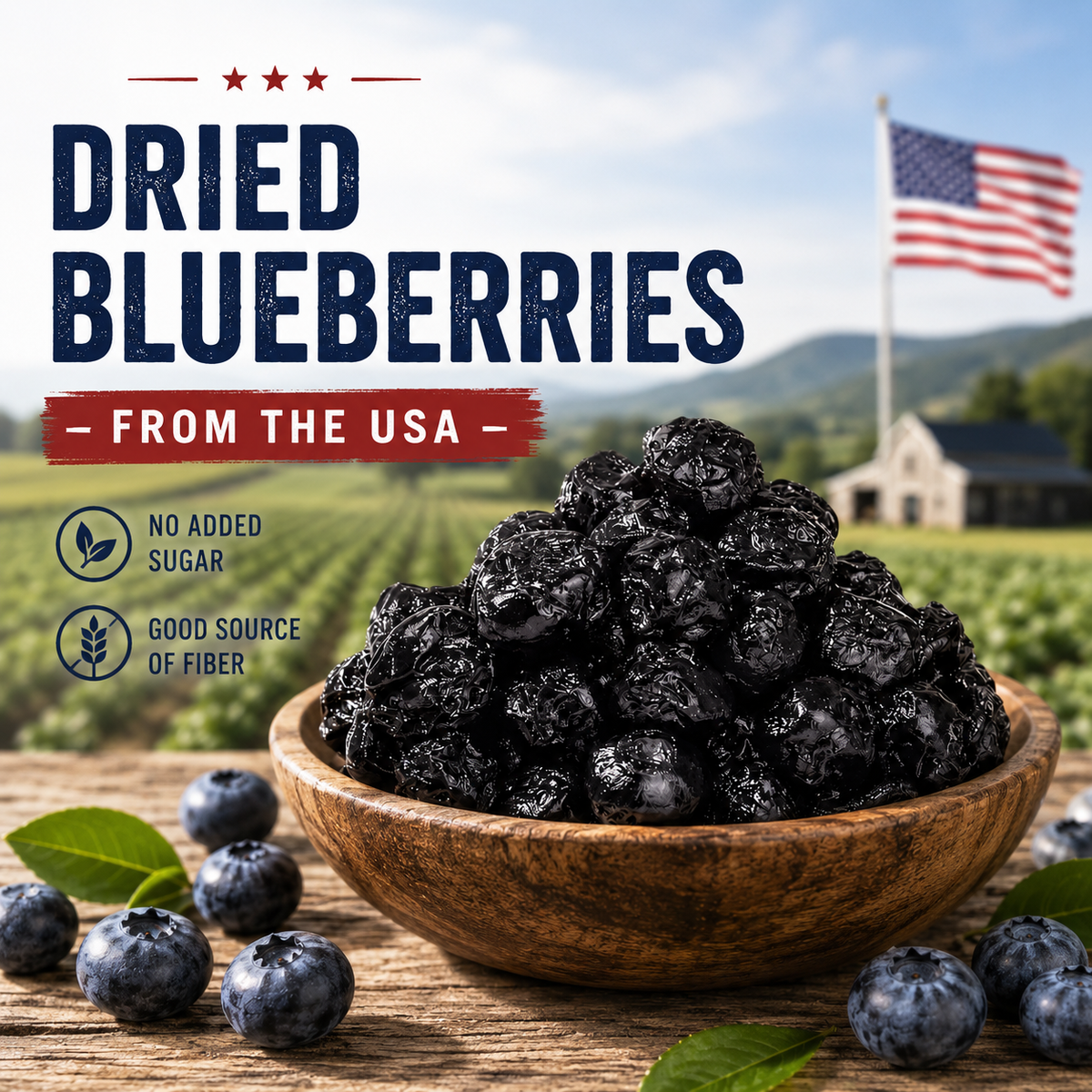Premium Dried Blueberries -EDC