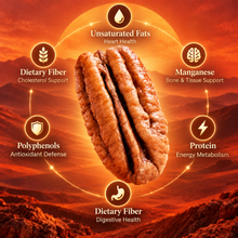 Premium Whole Pecans – The Perfect Balance of Health & Flavor——GTR
